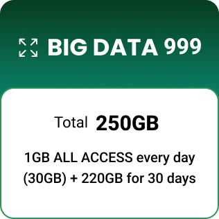 BIG DATA 999